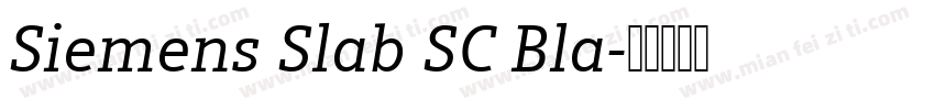 Siemens Slab SC Bla字体转换